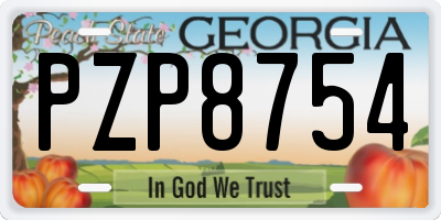 GA license plate PZP8754