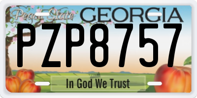GA license plate PZP8757