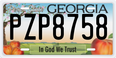 GA license plate PZP8758