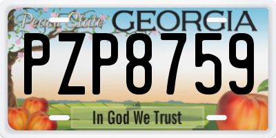 GA license plate PZP8759