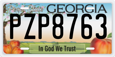 GA license plate PZP8763
