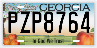 GA license plate PZP8764