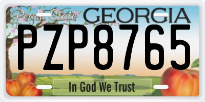 GA license plate PZP8765