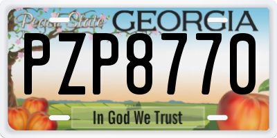 GA license plate PZP8770