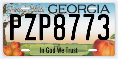 GA license plate PZP8773