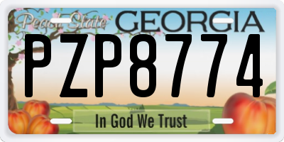 GA license plate PZP8774