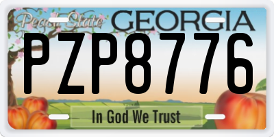GA license plate PZP8776