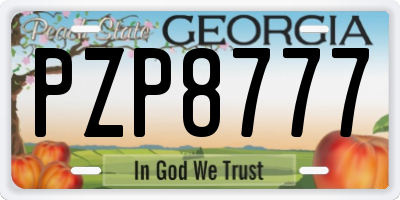 GA license plate PZP8777
