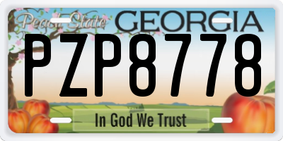 GA license plate PZP8778