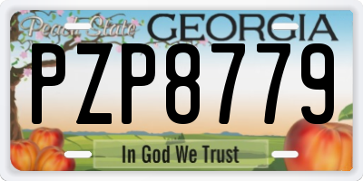 GA license plate PZP8779