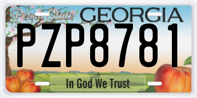 GA license plate PZP8781