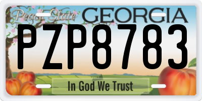 GA license plate PZP8783