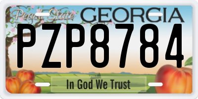 GA license plate PZP8784