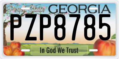 GA license plate PZP8785