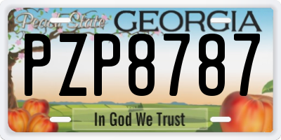 GA license plate PZP8787