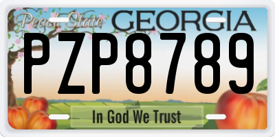 GA license plate PZP8789