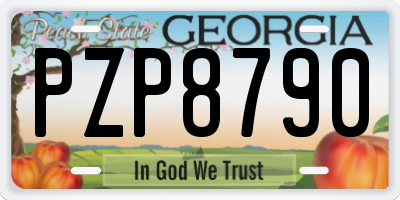 GA license plate PZP8790