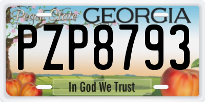 GA license plate PZP8793