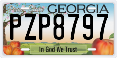 GA license plate PZP8797
