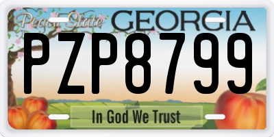 GA license plate PZP8799