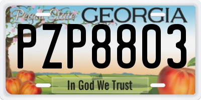 GA license plate PZP8803