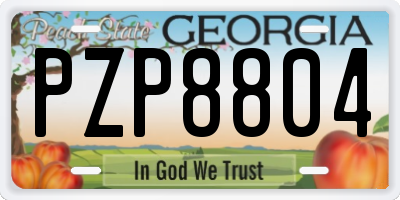 GA license plate PZP8804