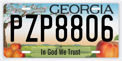 GA license plate PZP8806
