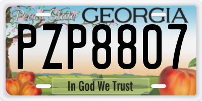 GA license plate PZP8807