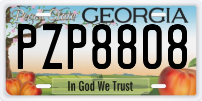 GA license plate PZP8808