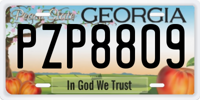 GA license plate PZP8809