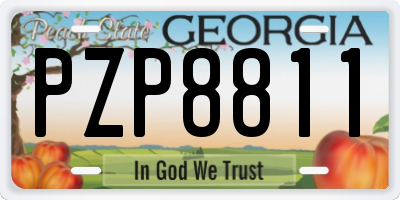 GA license plate PZP8811