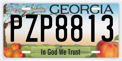 GA license plate PZP8813