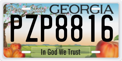 GA license plate PZP8816