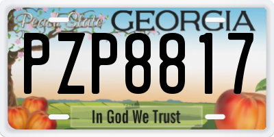 GA license plate PZP8817