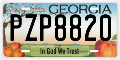 GA license plate PZP8820