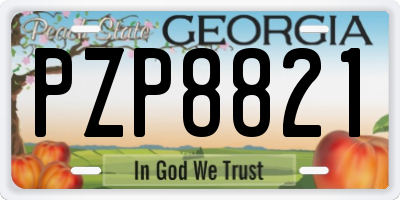 GA license plate PZP8821