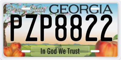 GA license plate PZP8822
