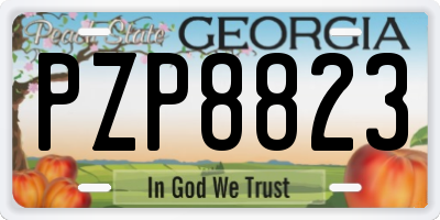 GA license plate PZP8823