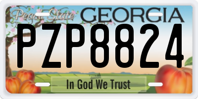 GA license plate PZP8824
