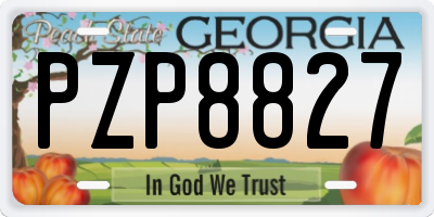 GA license plate PZP8827