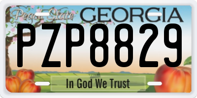 GA license plate PZP8829