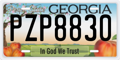 GA license plate PZP8830