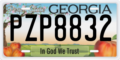 GA license plate PZP8832