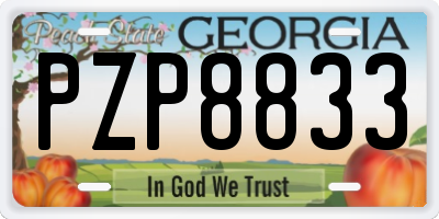 GA license plate PZP8833