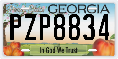 GA license plate PZP8834