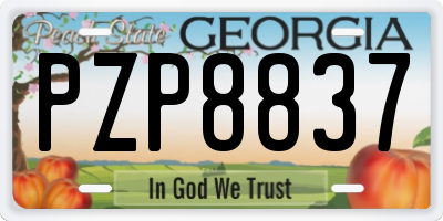 GA license plate PZP8837