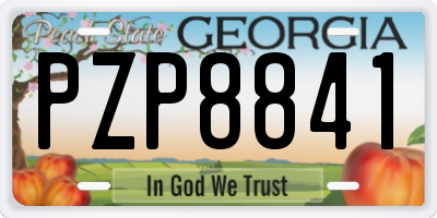 GA license plate PZP8841