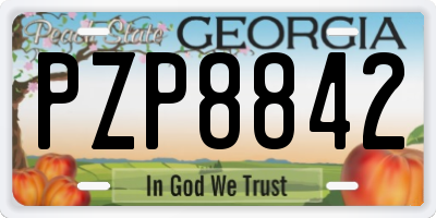GA license plate PZP8842