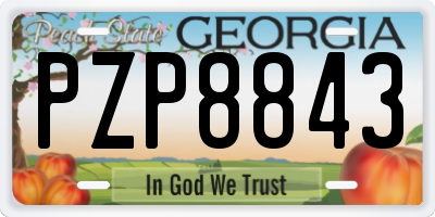GA license plate PZP8843