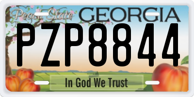 GA license plate PZP8844
